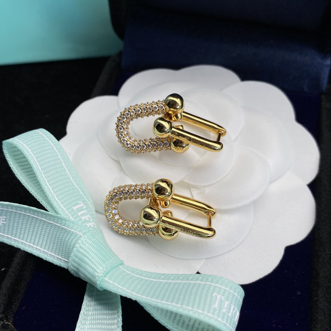 Tiffany Hardwear Link Cubic Zirconia Gold Earrings