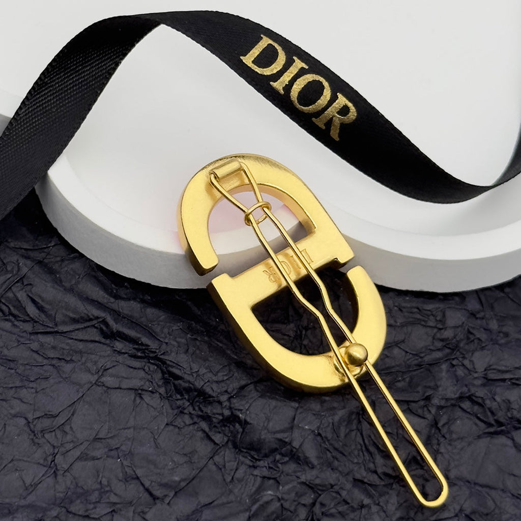 Dior CD Brooch 13